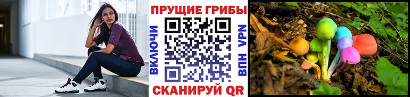 Псилоцибиновые грибы Cubensis  Новоалександровск 