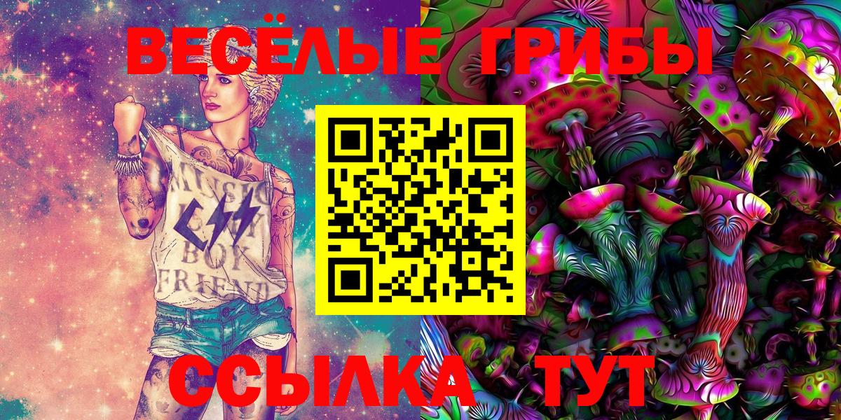 Псилоцибиновые грибы ЛСД  Галлюциногенные грибы мицелий  Новоалександровск  Вход с VPN 