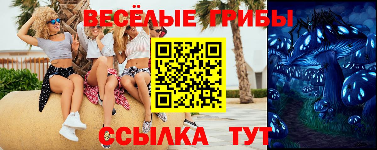 Галлюциногенные грибы прущие грибы Новоалександровск